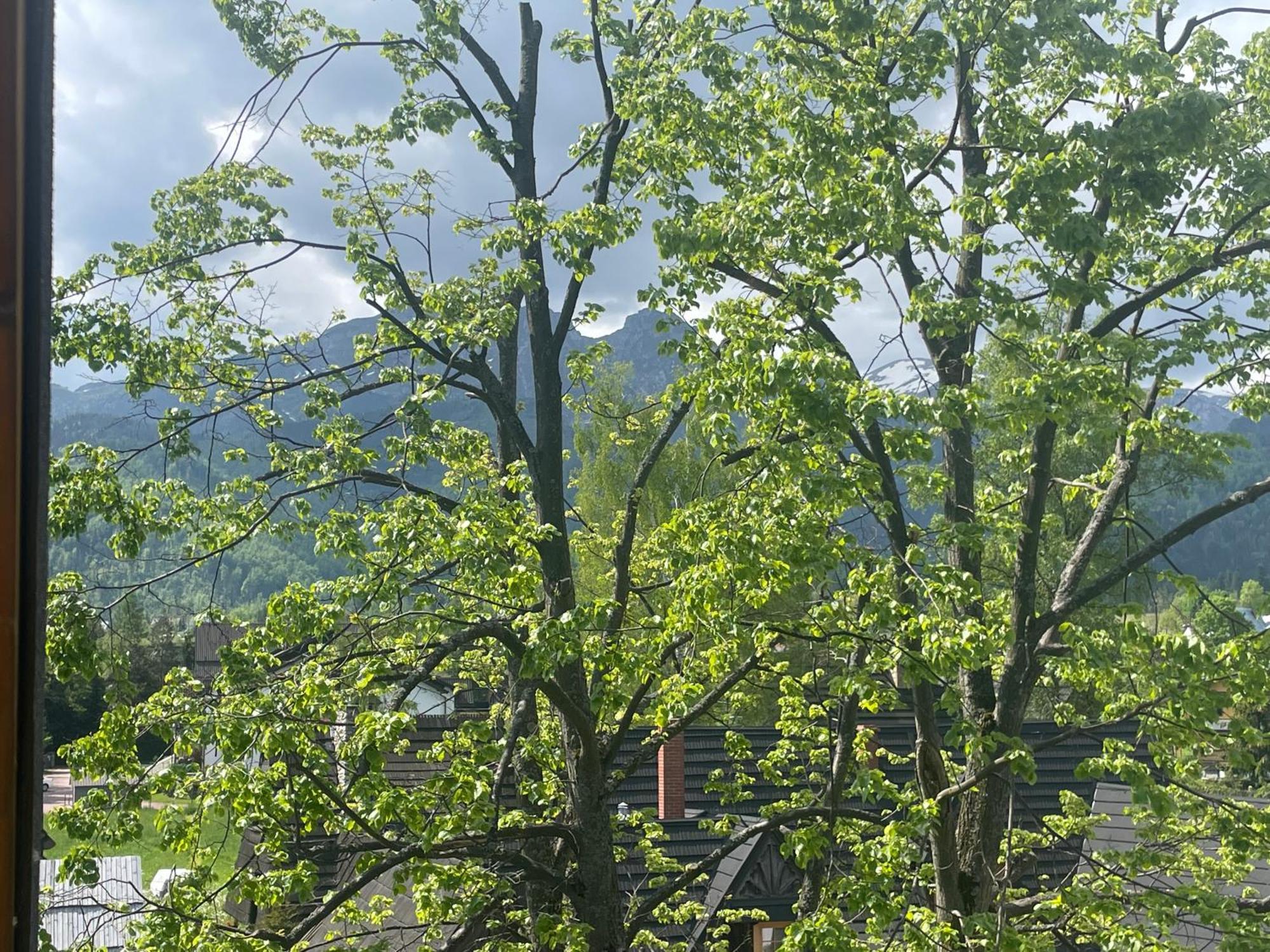 Apart-center Zakopiańskie Tarasy Apartament Zakopane